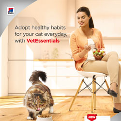 Consumer poster feline