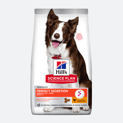 Science Diet Perfect Digestion Dry Dog Food