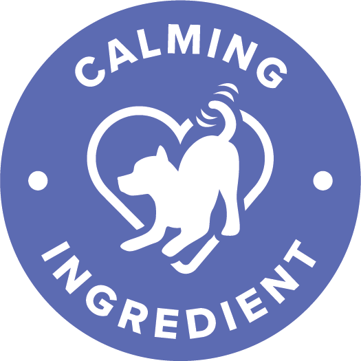 Bone & Joint Support Icon