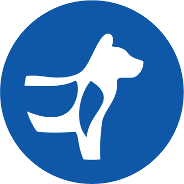 Bone & Joint Support Icon