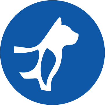 Bone & Joint Support Icon