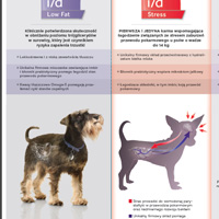 Broszura dla lecznic