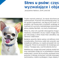 Stres u psów - częste czynniki wyzwalające i objawy