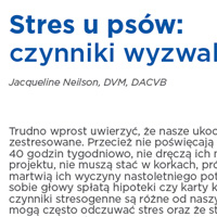 Stres u psów - czynniki wyzwalające i objawy