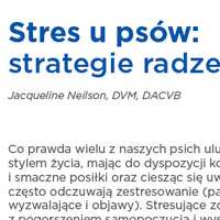 Stres u psów - strategie radzenia sobie ze stresem
