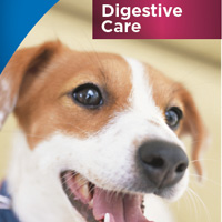 Ulotka dla właścicieli zwierząt - canine