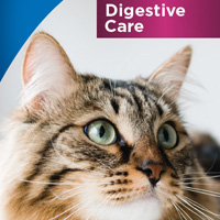 Ulotka dla właścicieli zwierząt - Feline