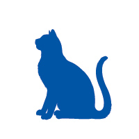 Zaburzenia pokarmowe – Koty